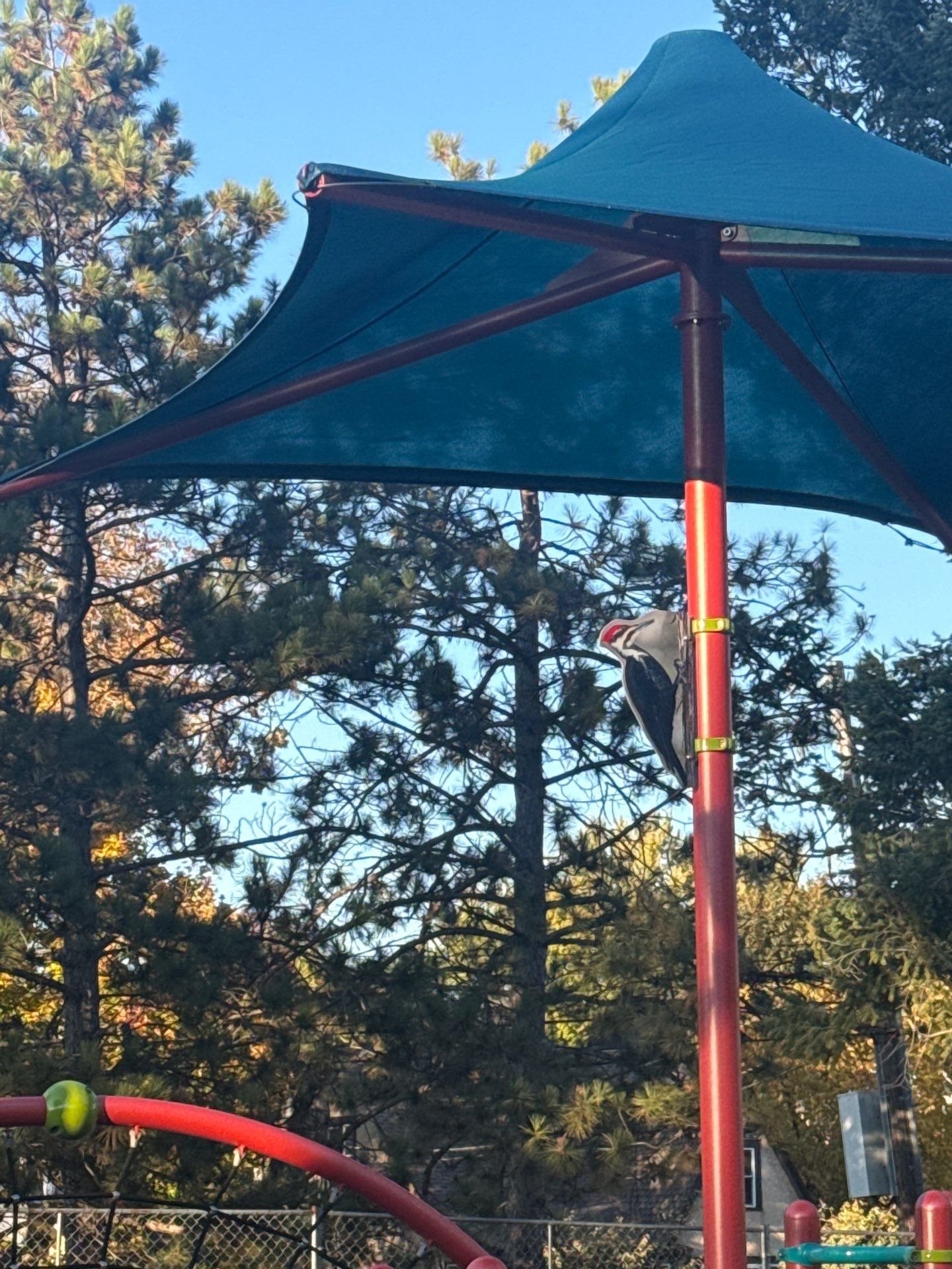 be60bfbd-4e98-4874-b08c-65480a55e9cf