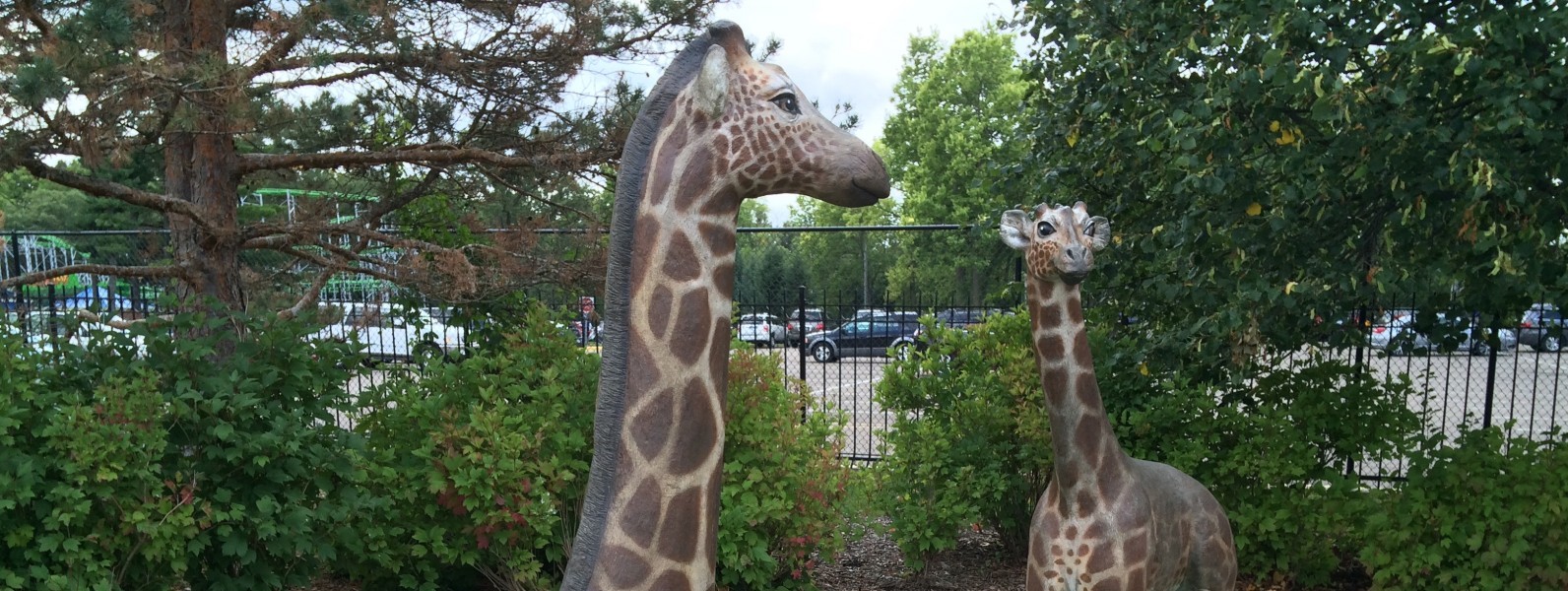 Como Zoo Giraffes & Gorillas