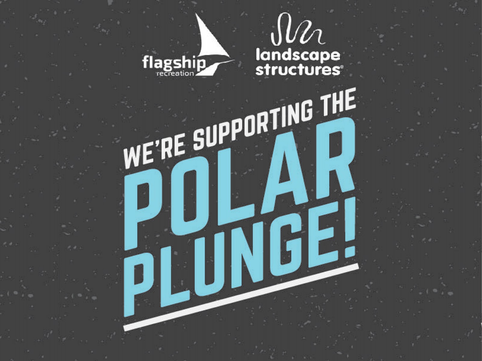 Flagship Recreation and Landscape Structures Sponsor Polar Plunge